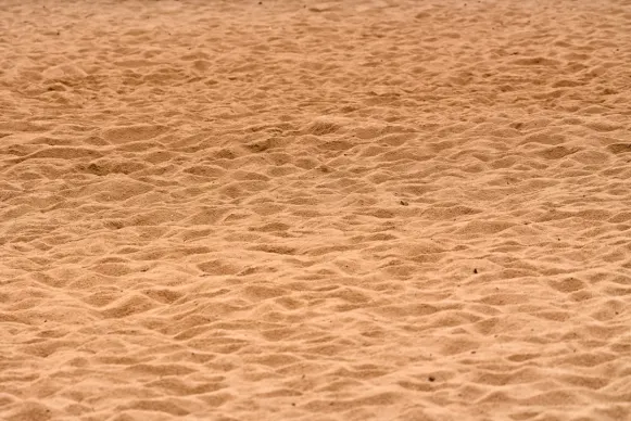 تسارز كازينو الدعم